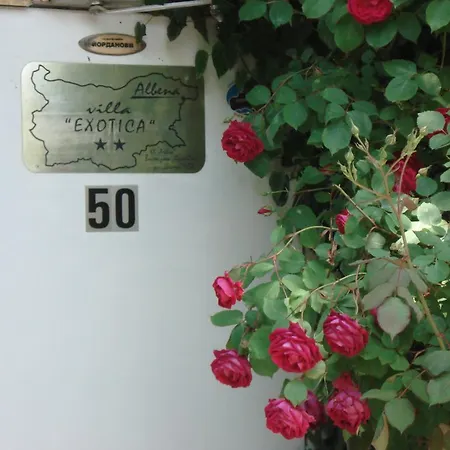 Guest house Exotica Balchik