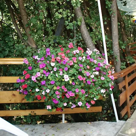 Guest house Exotica 2*