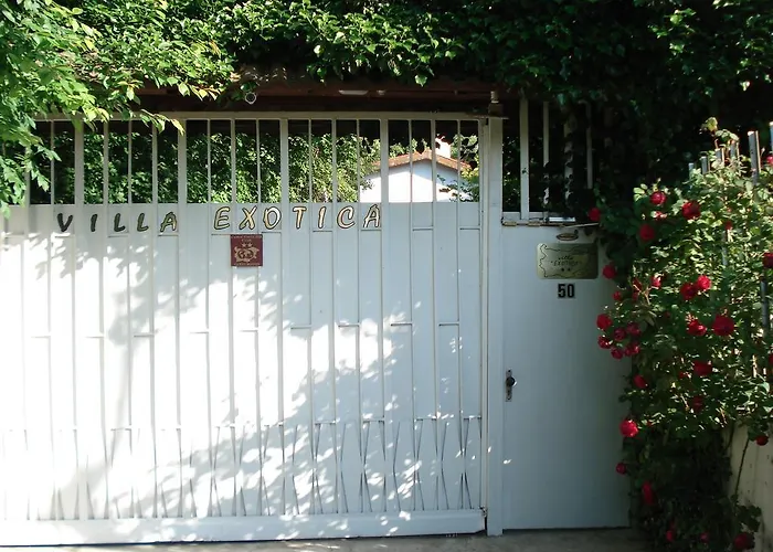 Πανσιόν Exotica Μπαλτσίκ