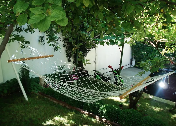 Exotica Πανσιόν