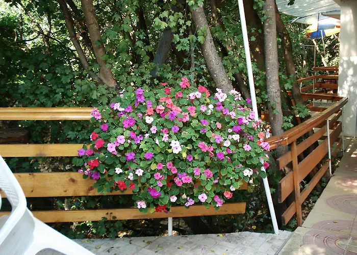 Πανσιόν Exotica 2*