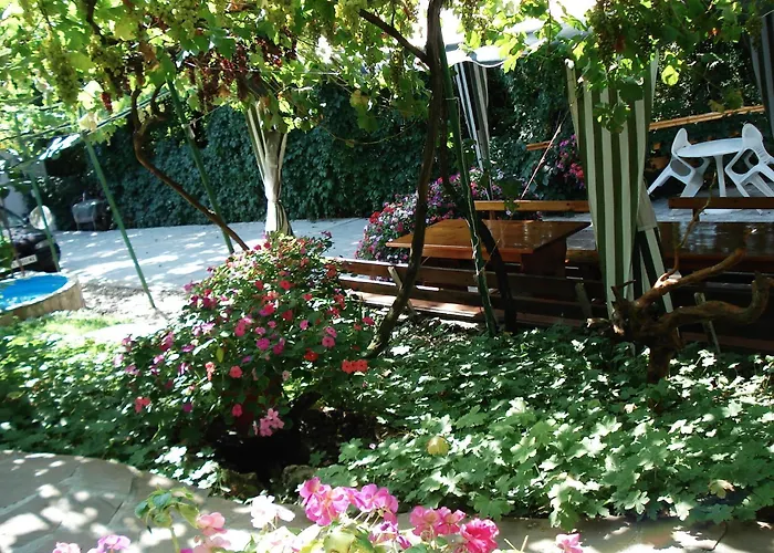 Exotica Πανσιόν