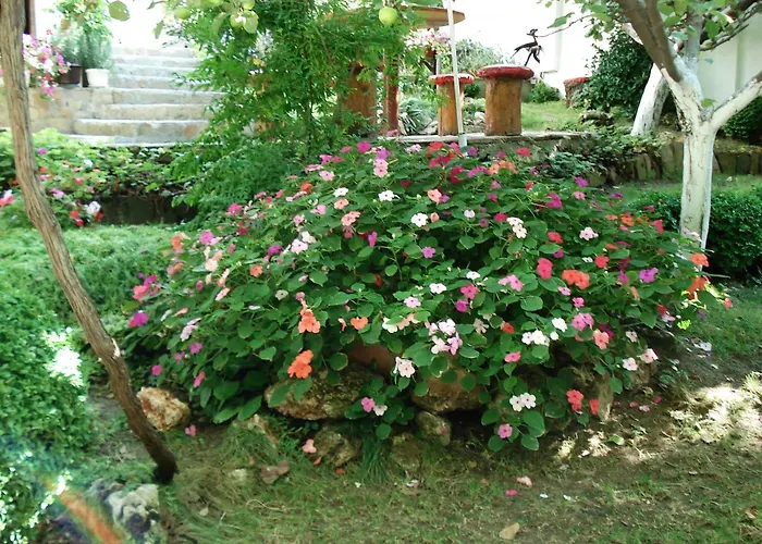 Πανσιόν Exotica 2*