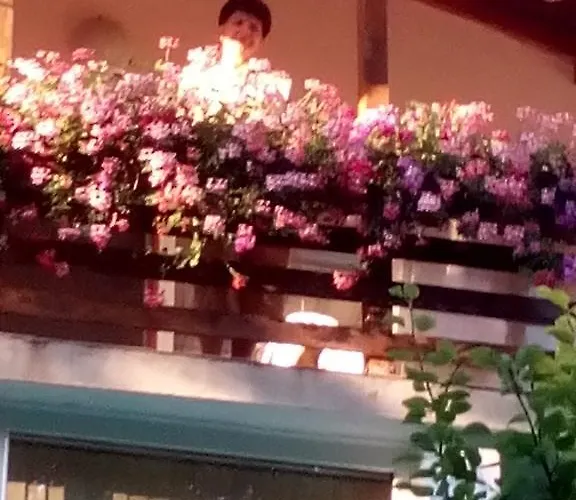 Exotica 2* Μπαλτσίκ