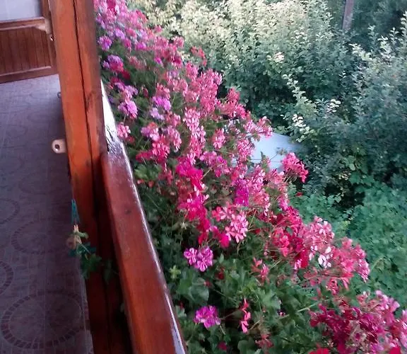 Exotica Πανσιόν