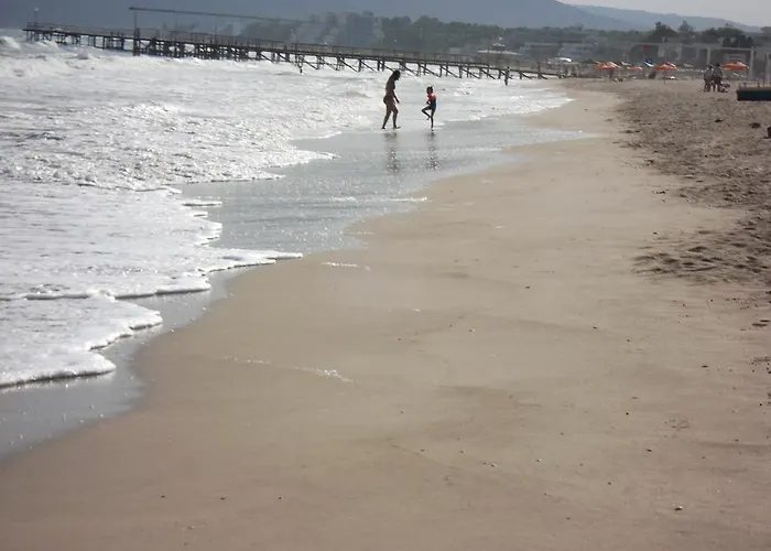 Πανσιόν Exotica Μπαλτσίκ