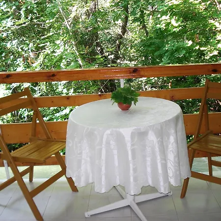 Pensionat Exotica Baltjik