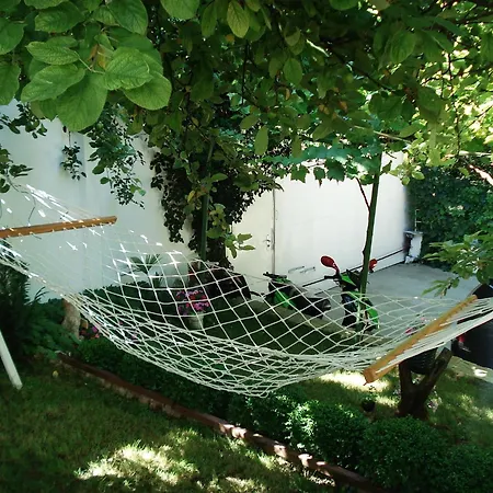 Exotica Guest house