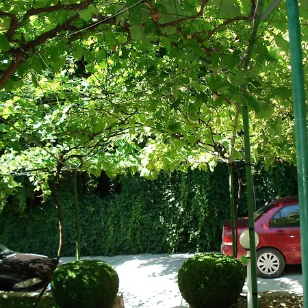 Exotica Balchik