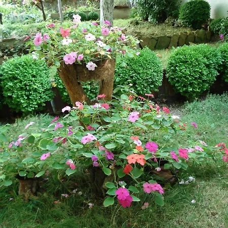 Exotica Guest house Balchik