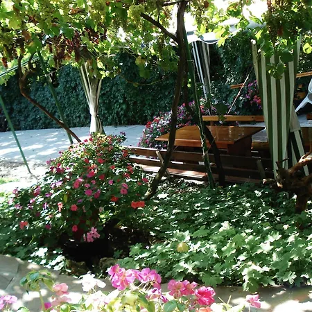 Exotica Guest house