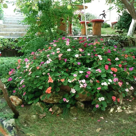 Guest house Exotica 2*