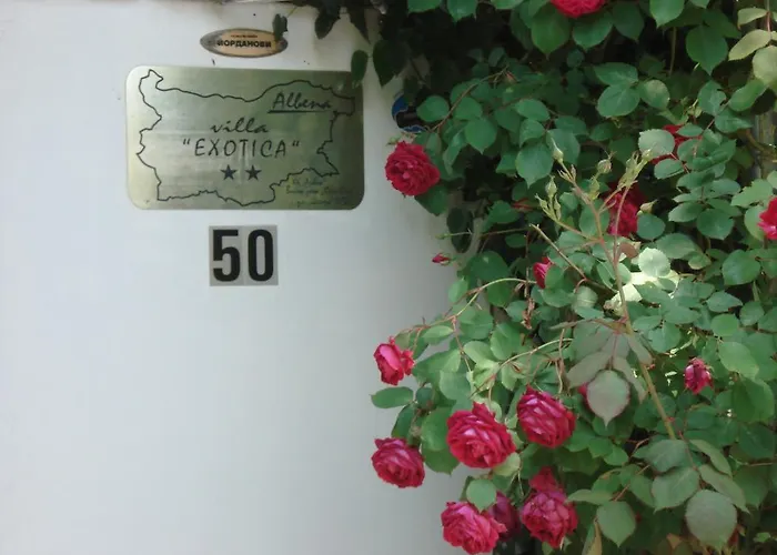 Affittacamere Exotica Balchik