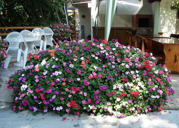 Affittacamere Exotica