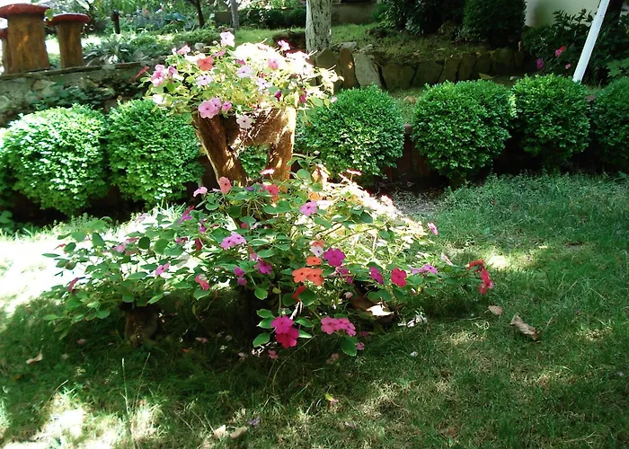 Exotica Affittacamere Balchik