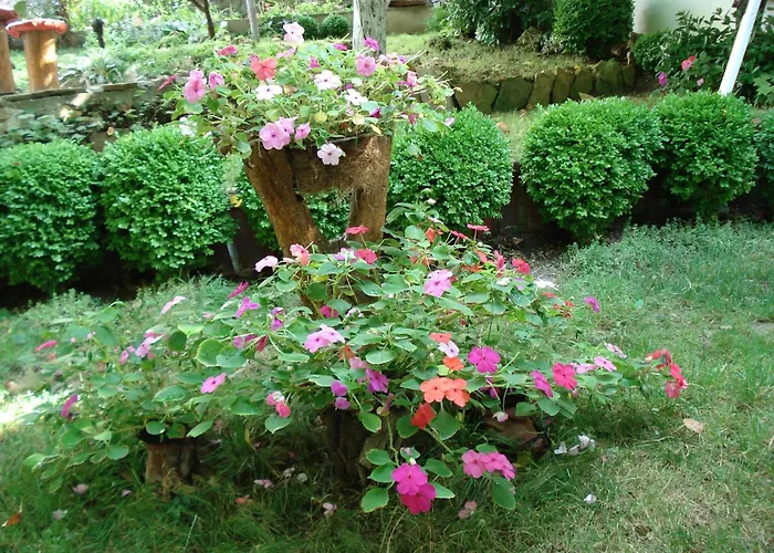 Exotica Affittacamere Balchik